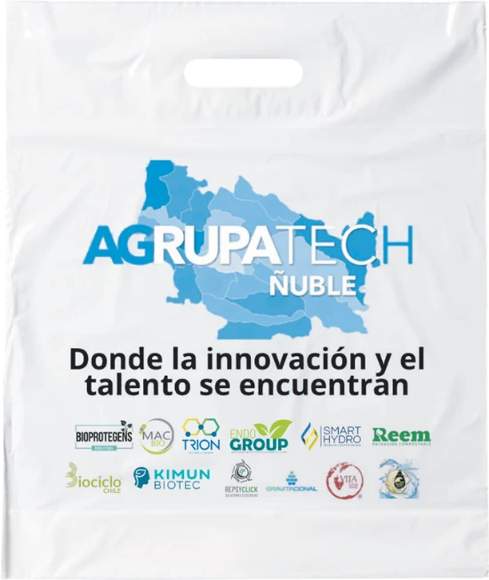 Bolsas Riñón compostables de Reem